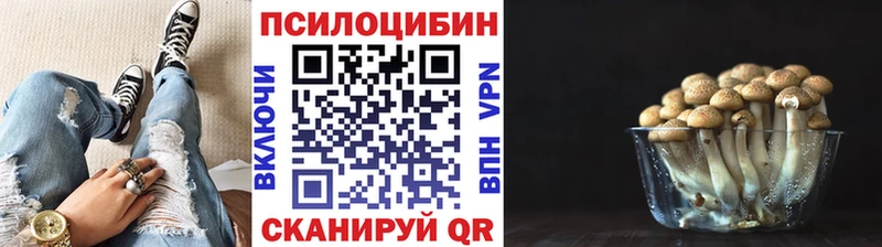 Псилоцибиновые грибы мицелий mega онион Узловая