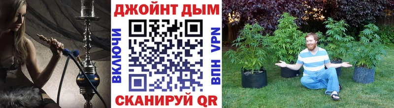 Бошки марихуана White Widow  как найти   Узловая 